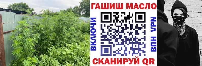 где найти   Томари  ТГК концентрат 
